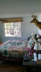 1 dormitorio con cama y cabeza de ciervo en la pared en Rustic Quaint Cabin In the woods--Pets welcomed, en Dunnsville
