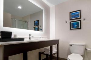 Comfort Inn & Suites Greer - Greenville的一间浴室