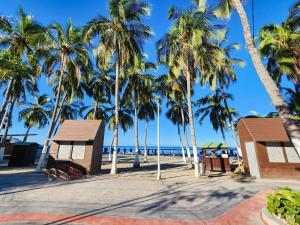un grupo de palmeras en la playa en Apartamentos Santamaria del Mar - Bedviajes, en Santa Marta