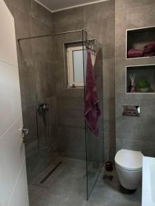 a bathroom with a shower and a toilet at La Vista in Stari Banovci