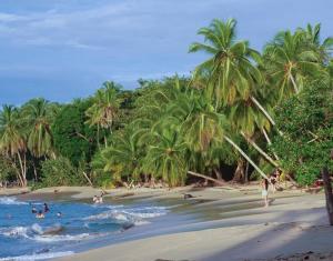 Příroda nedaleko prázdninového domu + 35 fotografií