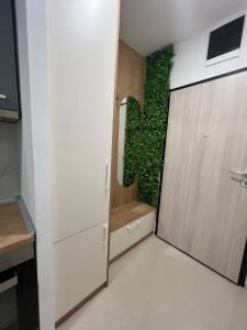 une cuisine avec une porte et un mur vert dans l'établissement Stesimo Deluxe Apartment, à Skopje