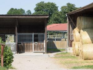 Fotografie z fotogalerie ubytování Holiday home on a riding stable v destinaci Eschede