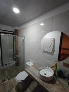 a bathroom with a sink and a toilet and a mirror at Vymar and Loto Azul in Pasto