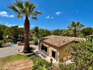 a house with a palm tree next to a building at Apartamentos Pinosol in Santa Eularia des Riu