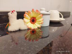a stuffed animal sitting next to a flower on a counter at Casa CORAZON DE LEÓN AQP in Arequipa