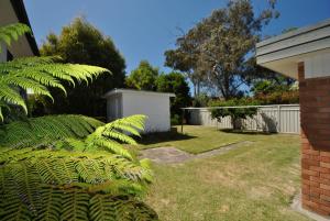eine grüne Pflanze in einem Hof neben einem Haus in der Unterkunft Collingwood Beach Cottage - Belle Escapes Jervis Bay in Vincentia