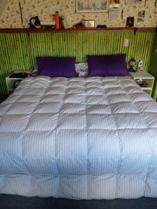 a large white bed with purple pillows in a bedroom at Casa de Lago y Montaña in El Calafate