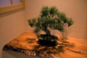 a small pine tree sitting on top of a table at HOTEL ZEN-Adult Only in Hirosaki