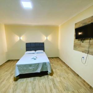 a bedroom with a bed and a flat screen tv at Pousada vista alegre in Itaberaba