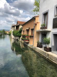 vistas a un río con casas y edificios en La Belle de l’Isle, en LʼIsle-sur-la-Sorgue