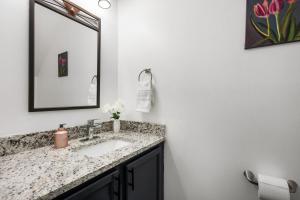 a bathroom with a sink and a mirror at DTPrivacy*KidsFriendly*PetFriendly*300M*Walkable in Raleigh