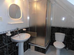 W łazience znajduje się prysznic, toaleta i umywalka. w obiekcie Apartment Veronika w mieście Přední Výtoň