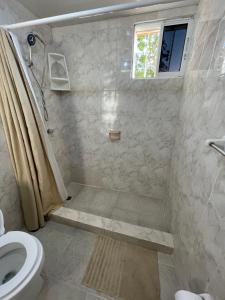 a bathroom with a shower with a toilet and a window at Apartamento calido in Santo Domingo