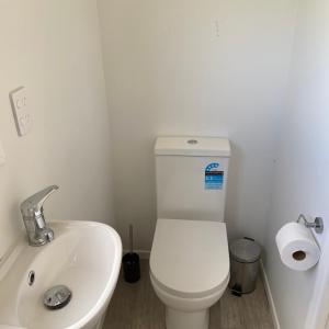 a bathroom with a white toilet and a sink at Tiny Home Farm Stay Retreat in Hikutaia