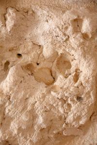 Kép Apulian House szállásáról Brindisiben a galériában