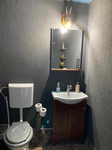 a bathroom with a toilet and a sink and a mirror at Cumpana Camping in Băile Olăneşti