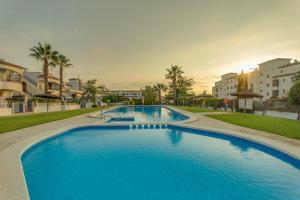 een groot blauw zwembad met palmbomen en gebouwen bij soleadore sol in Orihuela