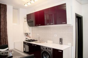 a kitchen with a sink and a washing machine at Apartament Capitala Militari Rosu in Roşu