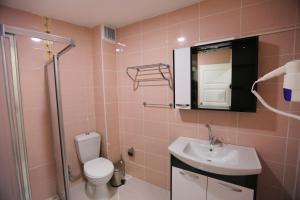 a bathroom with a toilet and a sink and a shower at Istanbul Family Apartment in Istanbul
