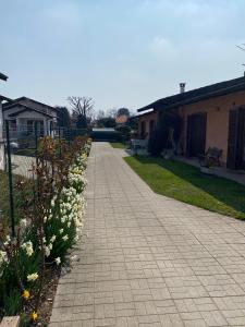 einen Gehweg mit weißen Blumen im Hof in der Unterkunft Casa Vacanze AURELIA in Biandronno