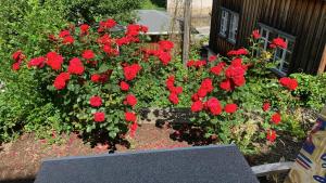 Gallery image of Haus Bergfriede in Bad Schandau