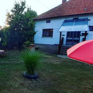 una casa con un paraguas rojo y una planta en el patio en Stefanovića kuća en Babušnica