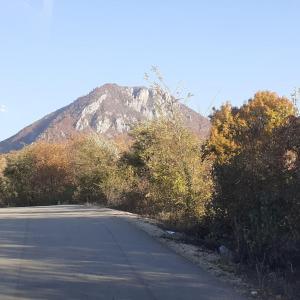 Afbeelding uit fotogalerij van Stefanovića kuća in Babušnica
