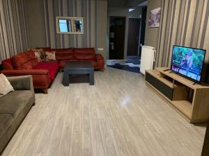 sala de estar con sofá y TV de pantalla plana en Lilika Apartments on Meskhishvili, en Tiflis