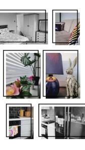 a collage of pictures with a rabbit in a room at Cosy home entire house, sleeps 7 in Wyken