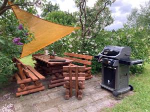 una parrilla y una mesa de picnic en un jardín en Zum Schwalbennest en Wredenhagen