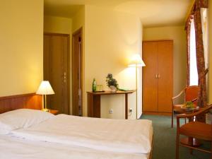 - une chambre avec un lit, une table et une chaise dans l'établissement Hotel na Jezeře, à Horní Planá