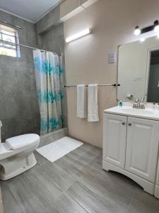 a bathroom with a toilet sink and a shower at SeaLaVie Apartments - Grenada in Saint Georgeʼs