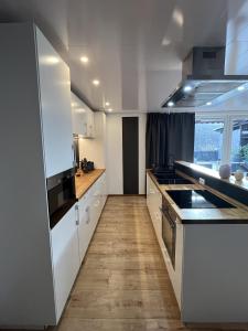 Kuchyň nebo kuchyňský kout v ubytování Ferienwohnung Ricke