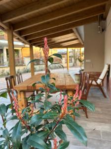 una mesa y sillas en un porche con una planta en Domus Corinnae en Sulmona