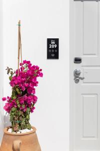 a vase filled with purple flowers next to a door at Elena Hotel Mykonos in Mýkonos City