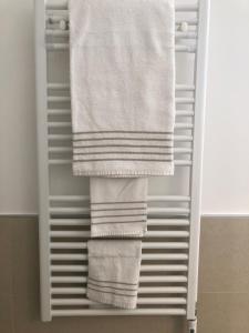 un asciugamano appeso a un portasciugamani in bagno di Prealpina Hotel a Bagnolo Piemonte