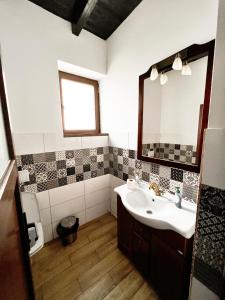 ein Bad mit einem Waschbecken und einem Spiegel in der Unterkunft Pensiunea Roxana in Buzău