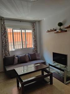 TV a/nebo společenská místnost v ubytování playa Almería zapillo loft