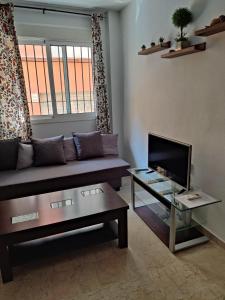 TV a/nebo společenská místnost v ubytování playa Almería zapillo loft