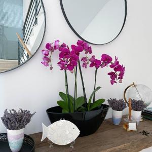 uma mesa com flores roxas e um espelho em Marisa Apartments Hvar II em Hvar