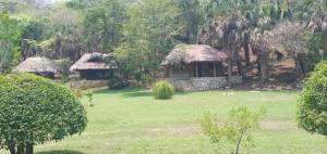 a house in a field with a grass yard at Room in Cabin - Cabins Sierraverde Huasteca Potosina sierra cabin in Damían Carmona