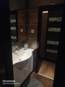 a bathroom with a white sink and a mirror at Gasperius apartments in Zagreb