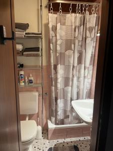 La salle de bains est pourvue d'un rideau de douche et de toilettes. dans l'établissement Haus Lith - Fewo Olesen, à Nordstrand