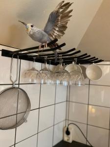 a bird perched on a rack with wine glasses at Lomma Station Inn Loft in Lomma