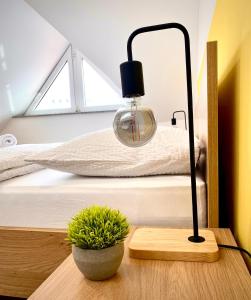 Φωτογραφία από το άλμπουμ του Rainbow House Rooms στο Μάριμπορ