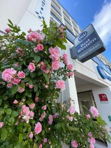 a bush of pink roses in front of a building at Best Western Hôtel Royan Océan in Royan