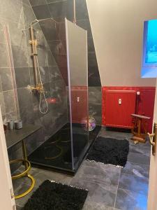 a shower in a bathroom with black mats on the floor at Ferienwohnung in historischer Villa! in Furth im Wald