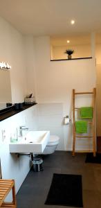 łazienka z białą umywalką i toaletą w obiekcie Weingut u. Gästehaus Becker w mieście Platten