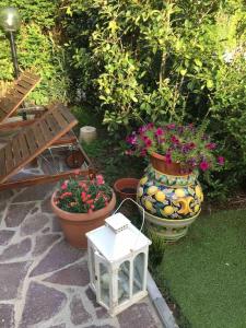 Foto dalla galleria di Casamalu a Lucca